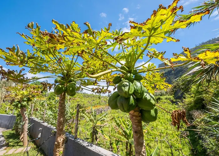 Casa Del Mar Ii By Galmi Arco de Sao Jorge