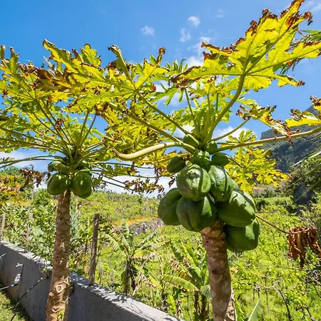 Casa Del Mar Ii By Galmi Arco de São Jorge